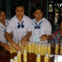 กิจกรรมชุมนุมการงานพื้นฐานอาชีพ